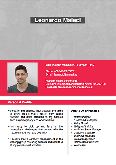 CV Sintetico Inglese