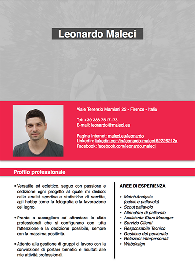 CV Sintetico Italiano